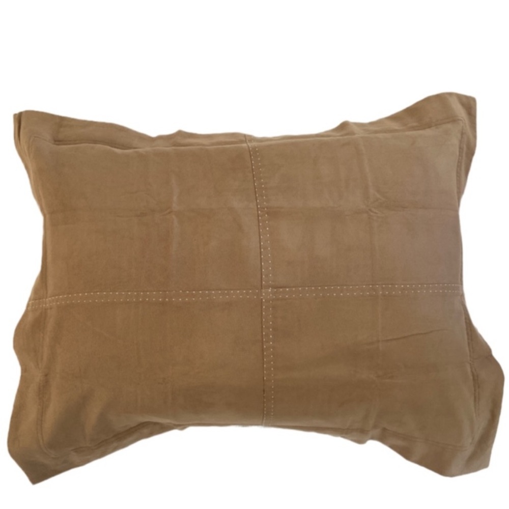 Pottery Barn Faux Suede Pillow Shame